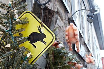 Yellow Rabbit Crossing Sign on Christmas Tree
