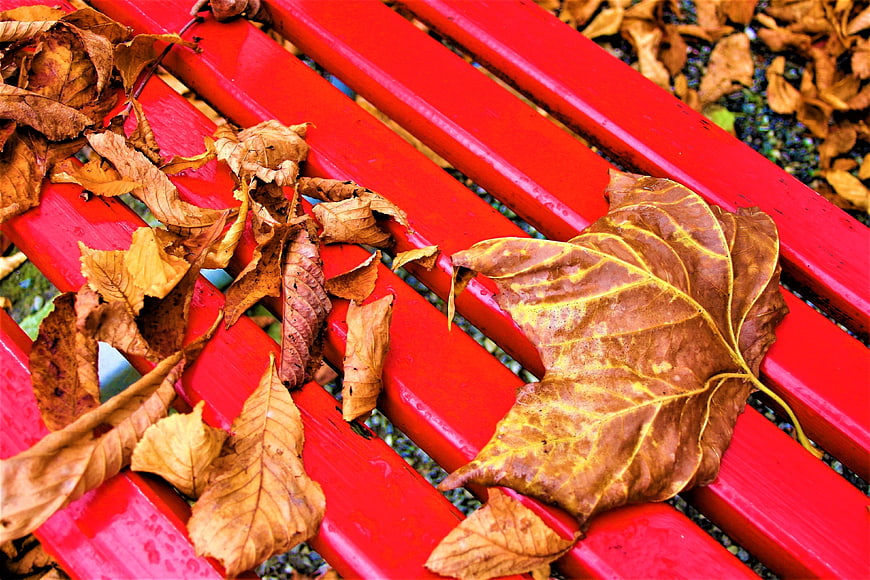 Dried autumn leaves on a red park bench