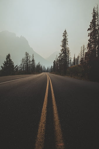 Empty asphalt road leading into misty mountains and forest