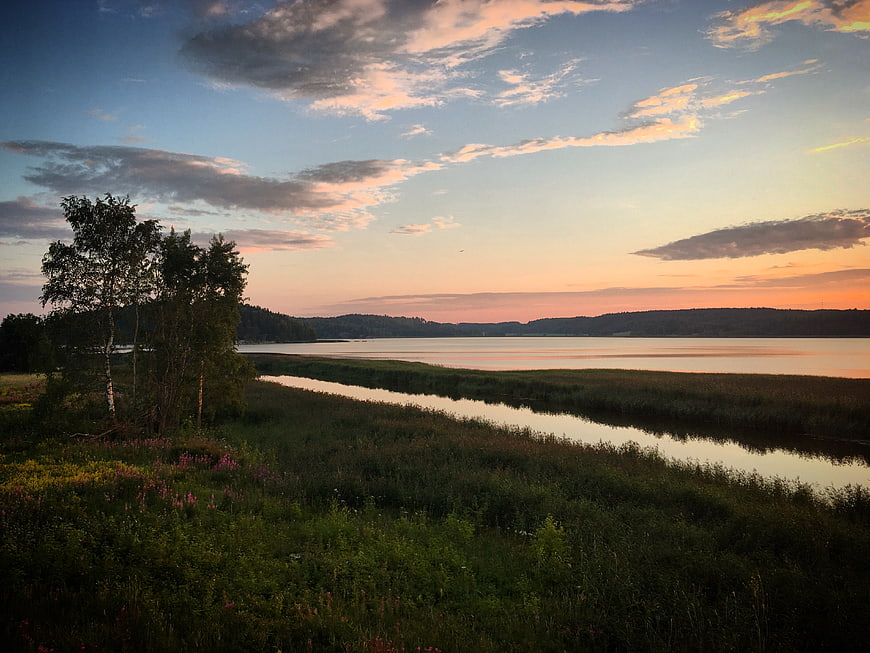 Serene Lake Sunset with Wildflowers and Birch Trees