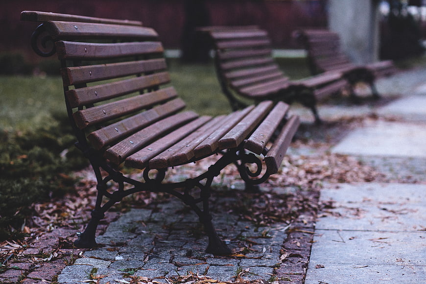 Empty wooden park bench in autumn with fallen leaves