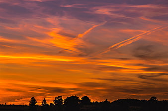 Vibrant orange and purple sunset sky with contrails over tree silhouette