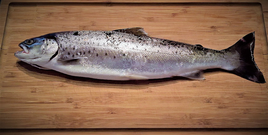 Fresh whole trout on wooden cutting board top view