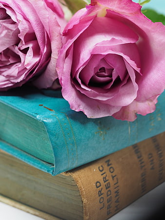 Vintage Pink Roses on Antique Books