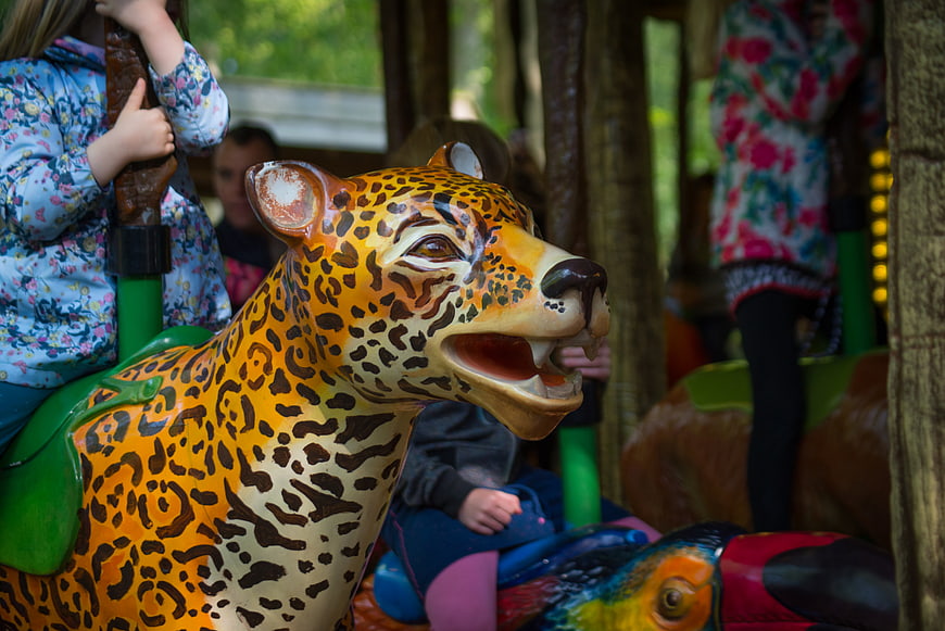 Child riding a colorful leopard carousel animal