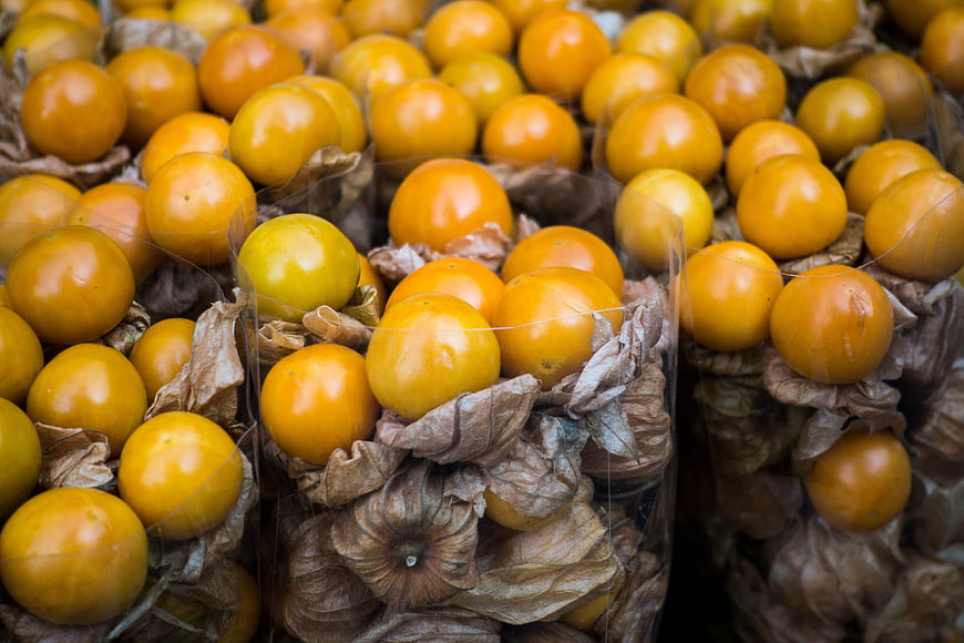 Close-up of fresh yellow physalis fruits in plastic packaging