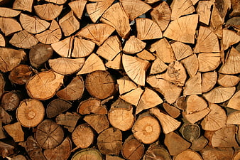 Stacked Firewood Logs Texture Background