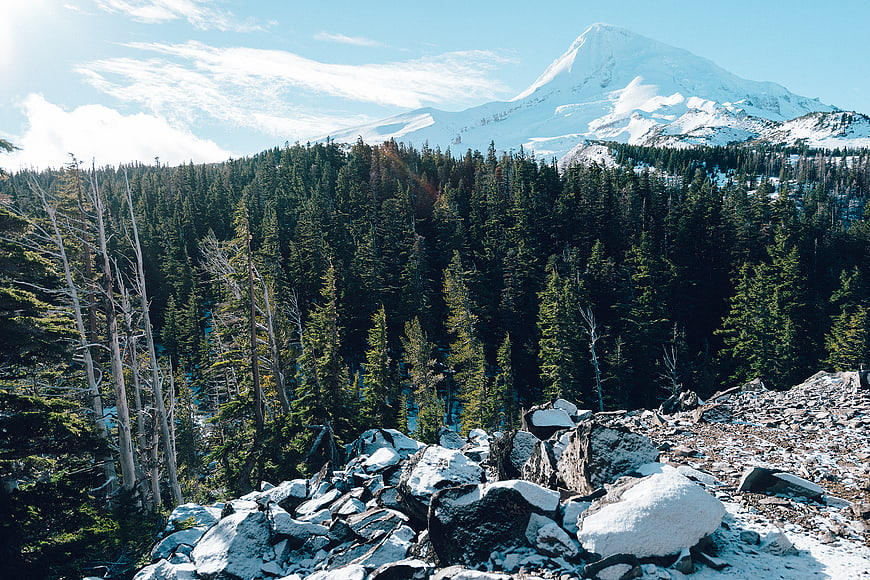 Snow-Capped Mountain Peak Overlooking Dense Evergreen Forest
