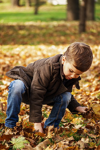 Young boy playing in autumn leaves in park
