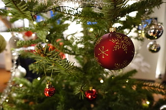 Close-up of red Christmas bauble with gold snowflakes on tree