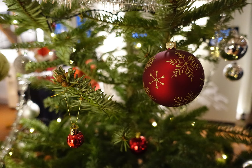 Close-up of red Christmas bauble with gold snowflakes on tree