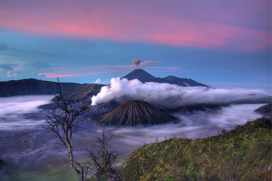 Mount Bromo Sunrise with Sea of Clouds and Pink Sky