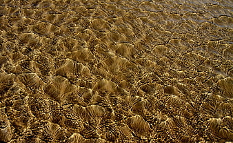 Golden Sand Texture Under Shallow Water Surface