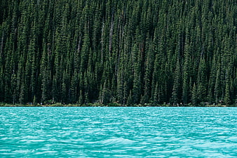 Turquoise glacial lake with dense evergreen forest background