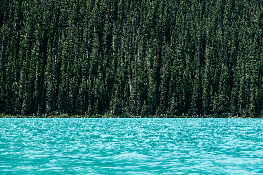 Turquoise glacial lake with dense evergreen forest background