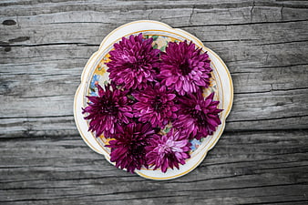 Purple chrysanthemums on vintage plate rustic wood