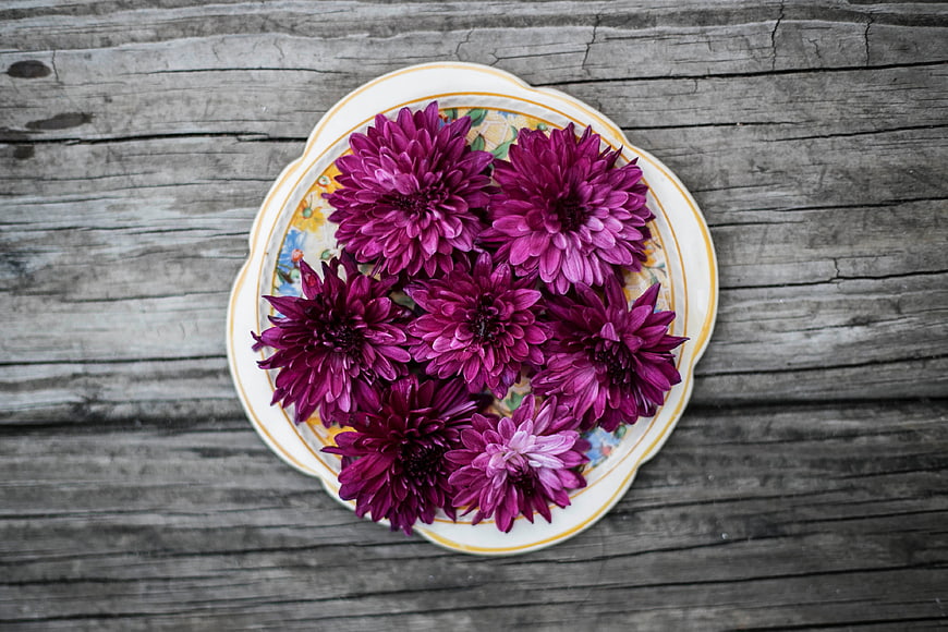 Purple chrysanthemums on vintage plate rustic wood