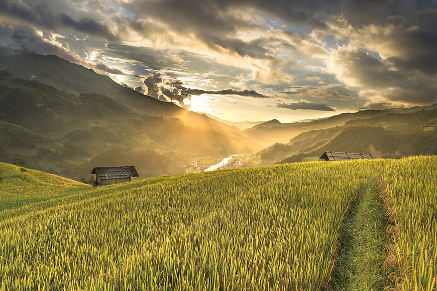 Golden Rice Terraces in Ha Giang Valley at Sunrise
