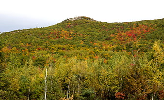 Autumn Mountain Landscape with Colorful Forest and Rocky Peak
