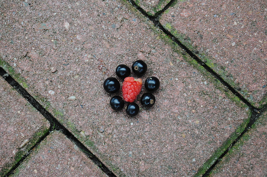 Raspberry and blackberries arranged on paving stones