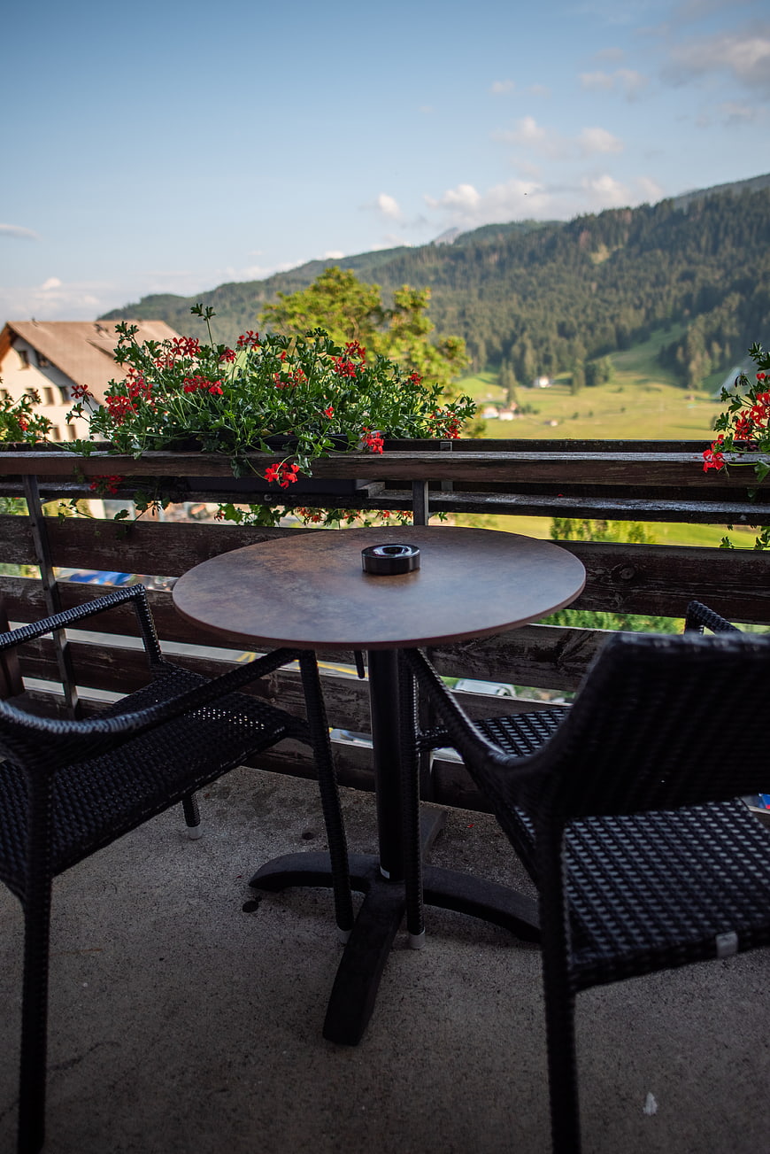 Outdoor balcony table with mountain view and red flowers