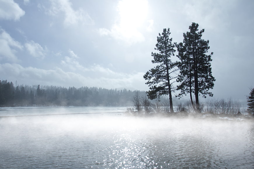 Misty Lake with Pine Trees and Morning Fog