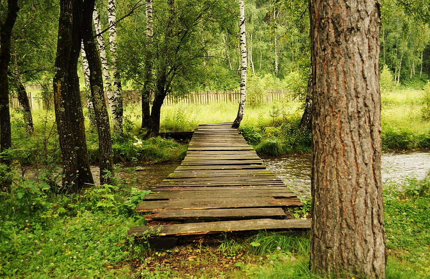 Rustic wooden footbridge crossing a stream in a lush green forest