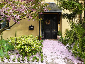 Charming Yellow House Entrance With Pink Cherry Blossoms And Garden