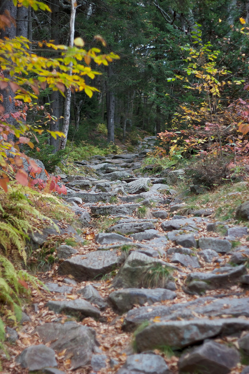 Rocky Forest Trail in Autumn with Colorful Foliage
