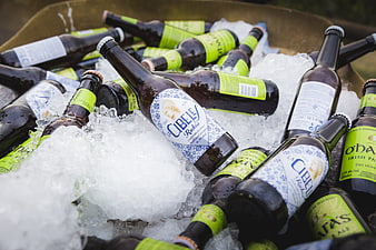 Assorted craft beer bottles chilling in crushed ice