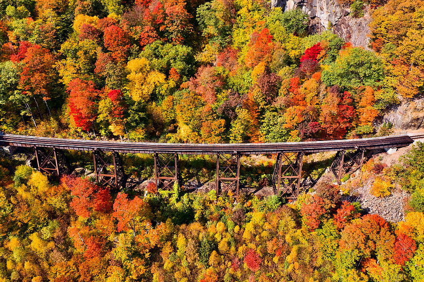 Aerial View of Railroad Bridge in Vibrant Autumn Forest