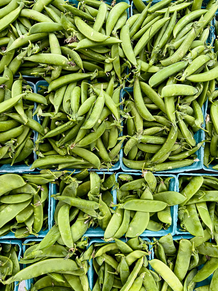 Fresh Green Peas in Blue Crates at Farmers Market