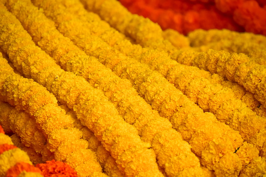 Close-up of vibrant yellow marigold flower garlands