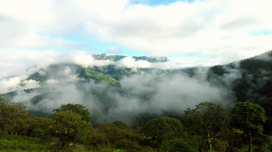 Misty Mountain Landscape with Clouds and Green Forest