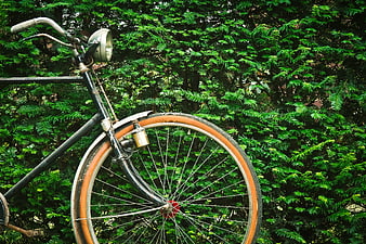 Vintage Black Bicycle with Orange Tire Against Green Hedge