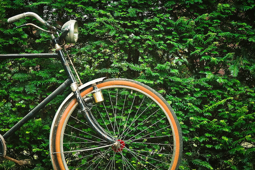 Vintage Black Bicycle with Orange Tire Against Green Hedge