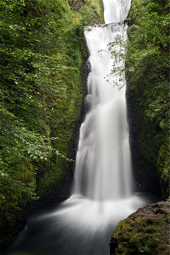 Serene waterfall cascading through lush green forest