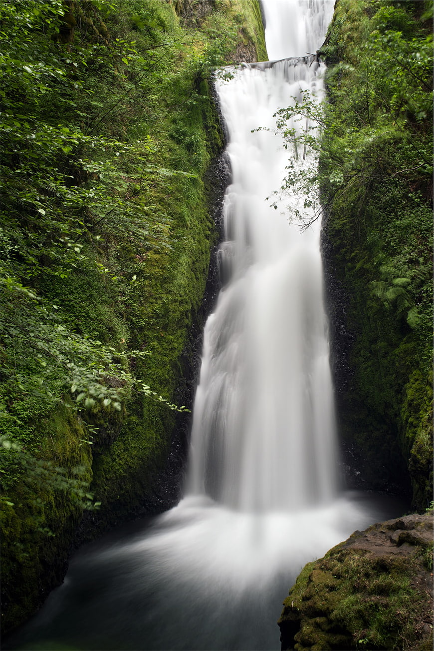 Serene waterfall cascading through lush green forest