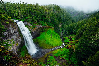 Majestic waterfall cascading through lush green forest landscape