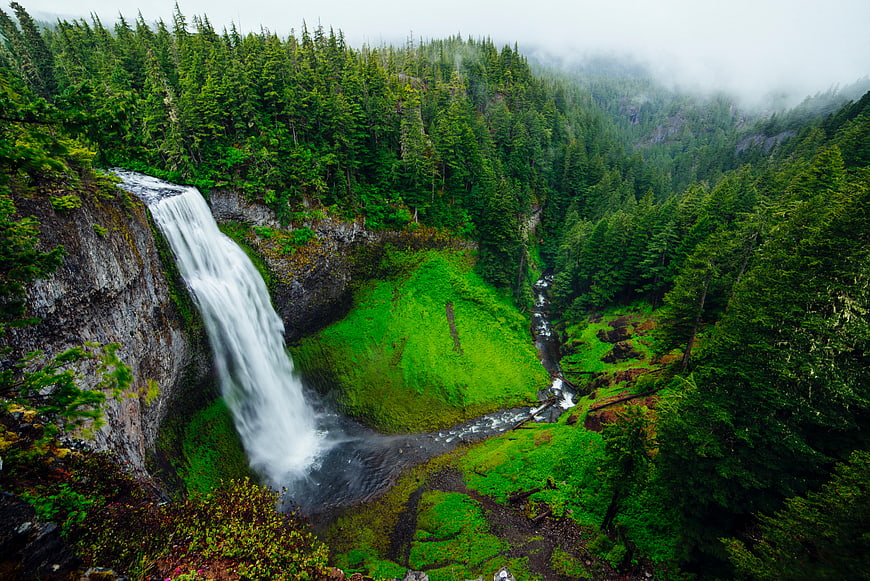 Majestic waterfall cascading through lush green forest landscape