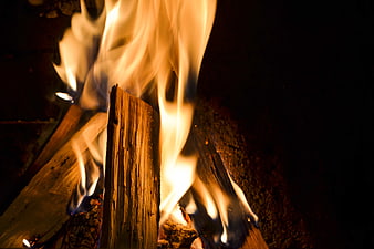 Close-up of burning wood logs with bright orange flames