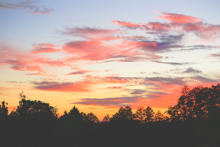 Vibrant pink and orange sunset sky over dark tree silhouette