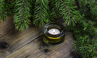 Lit tealight candle in green glass holder with pine branches on wood