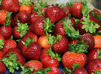 Fresh Ripe Strawberries Pile Close Up