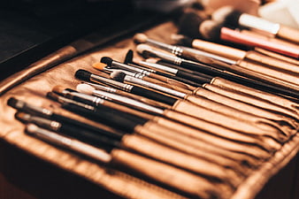 Professional makeup brushes in a leather roll case
