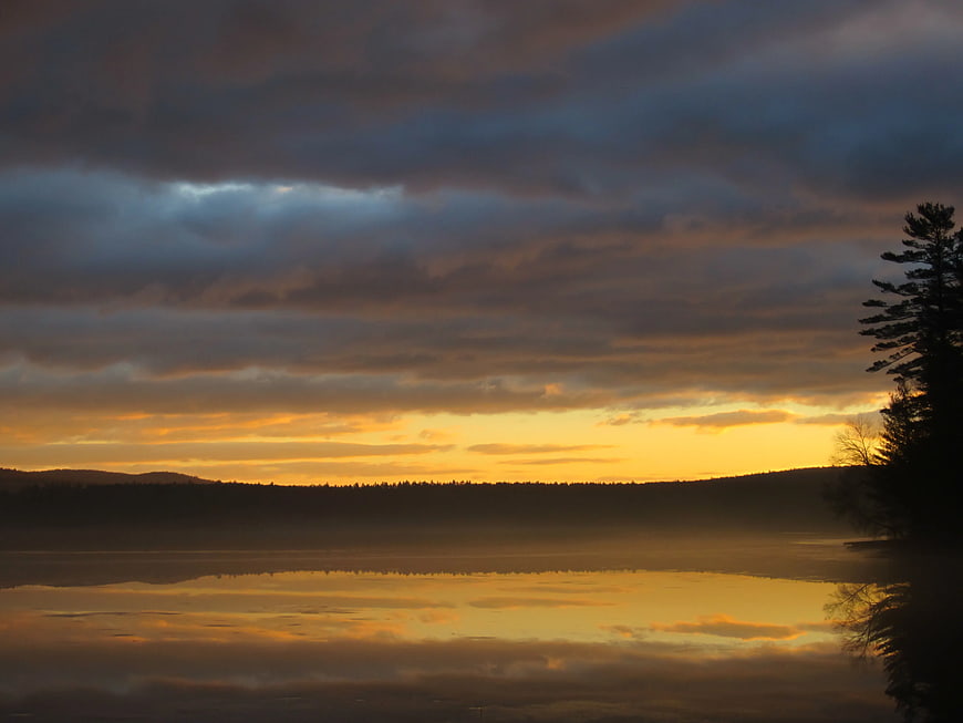 Serene Sunset Over Misty Lake with Silhouette Trees