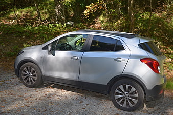 Silver Opel Mokka SUV Parked in Forest