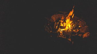 Campfire Burning at Night with Large Copyspace