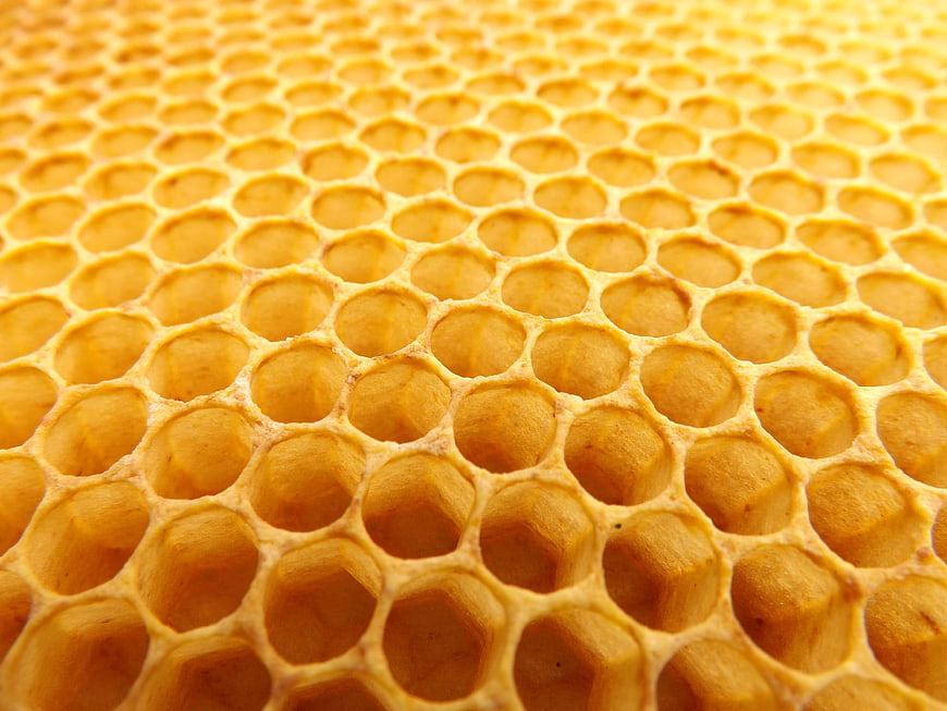 Close-up of golden honeycomb cells with shallow depth of field