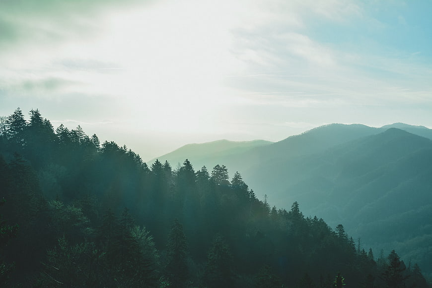 Misty Mountain Forest Landscape with Soft Morning Light